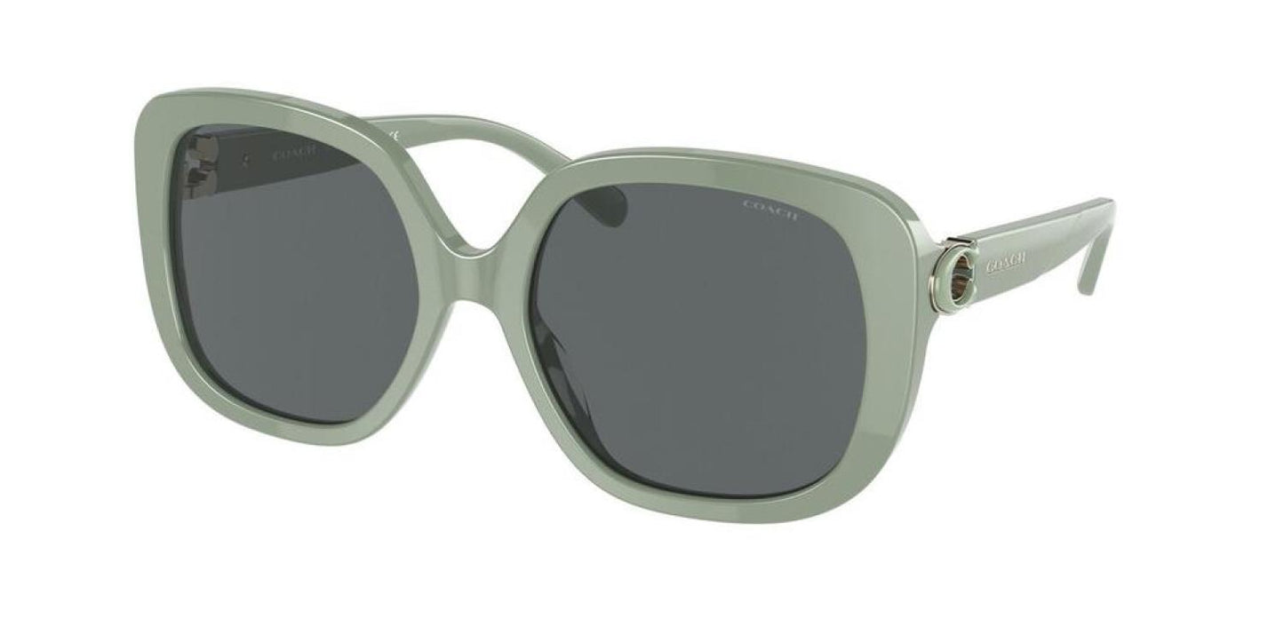 Coach Women's Fashion 56mm Sunglasses