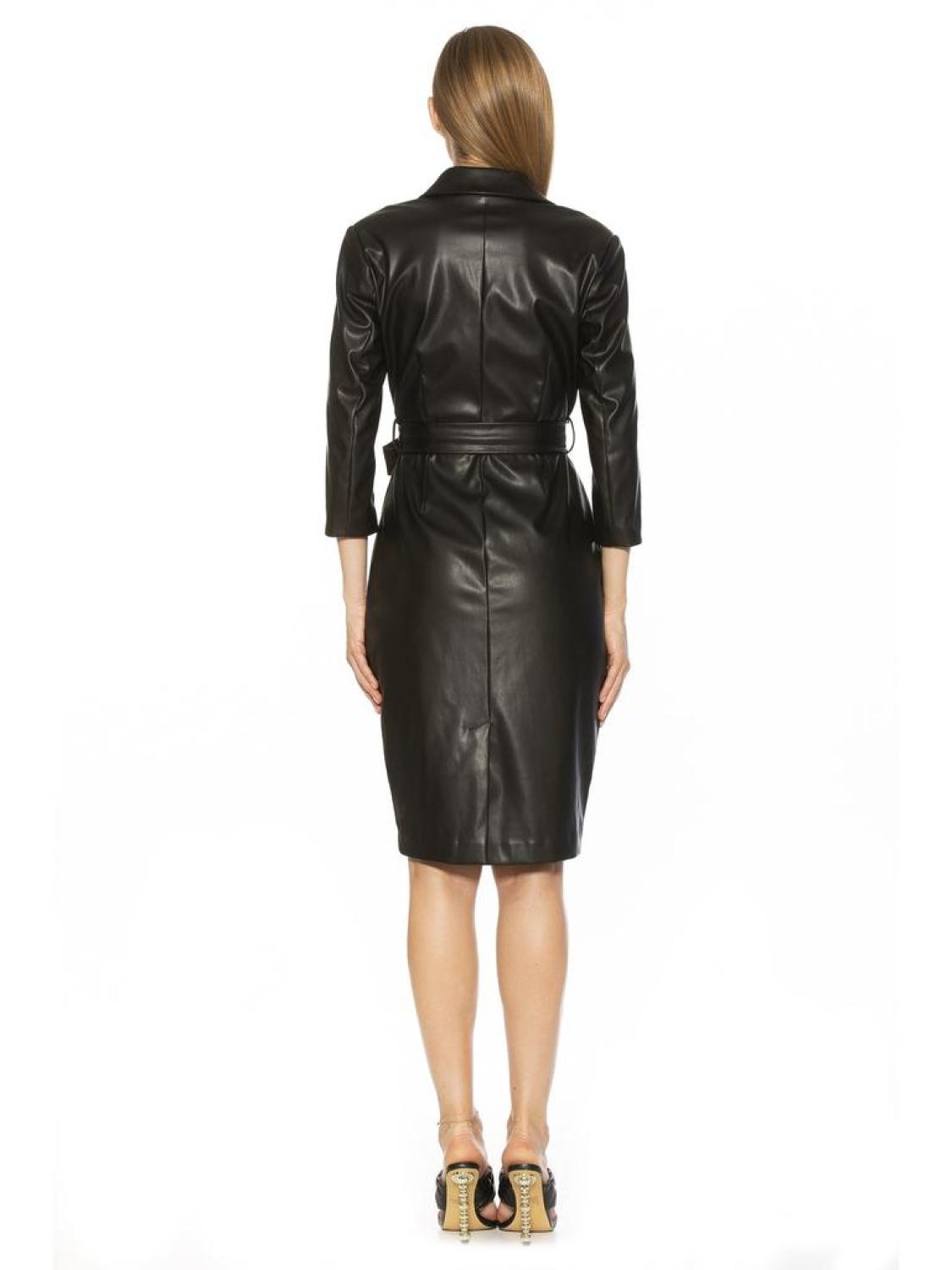 Jacqueline Leather Dress