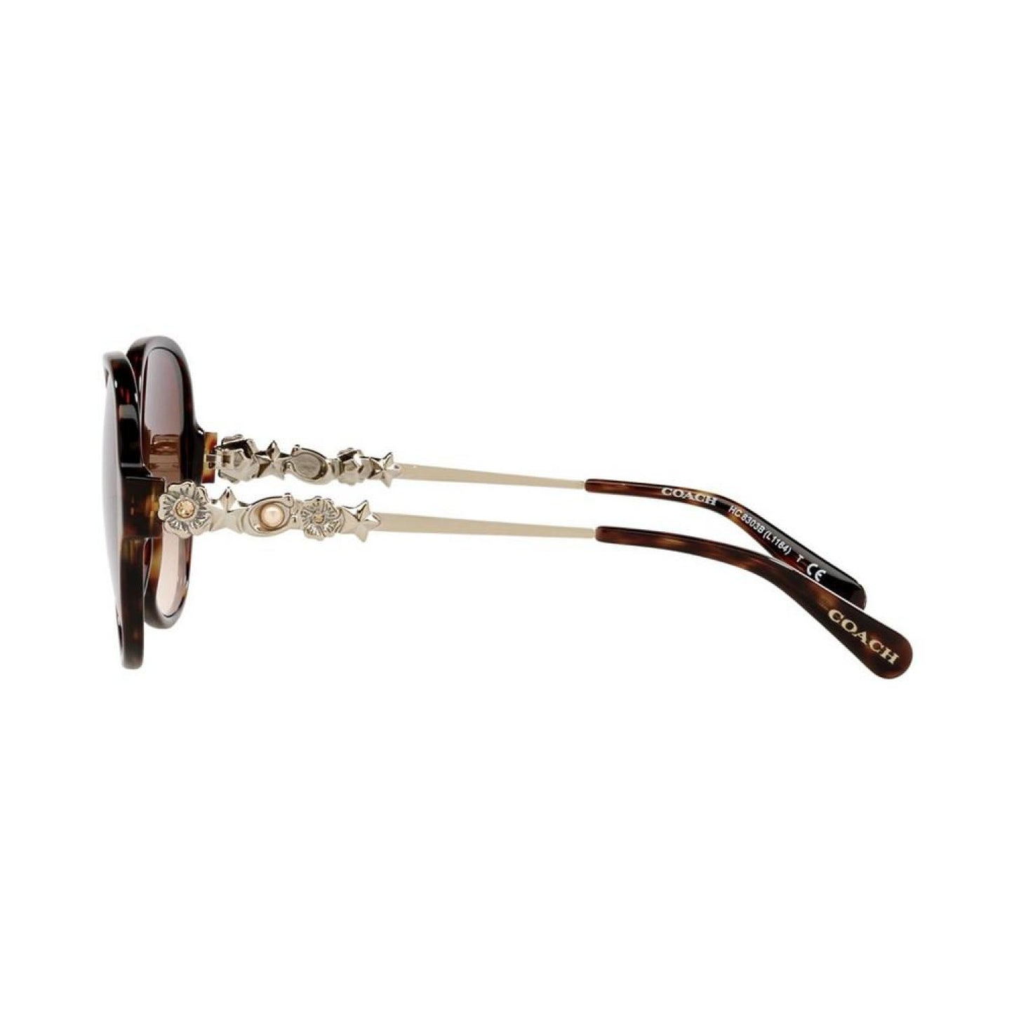 Women's Sunglasses, HC8303B 57