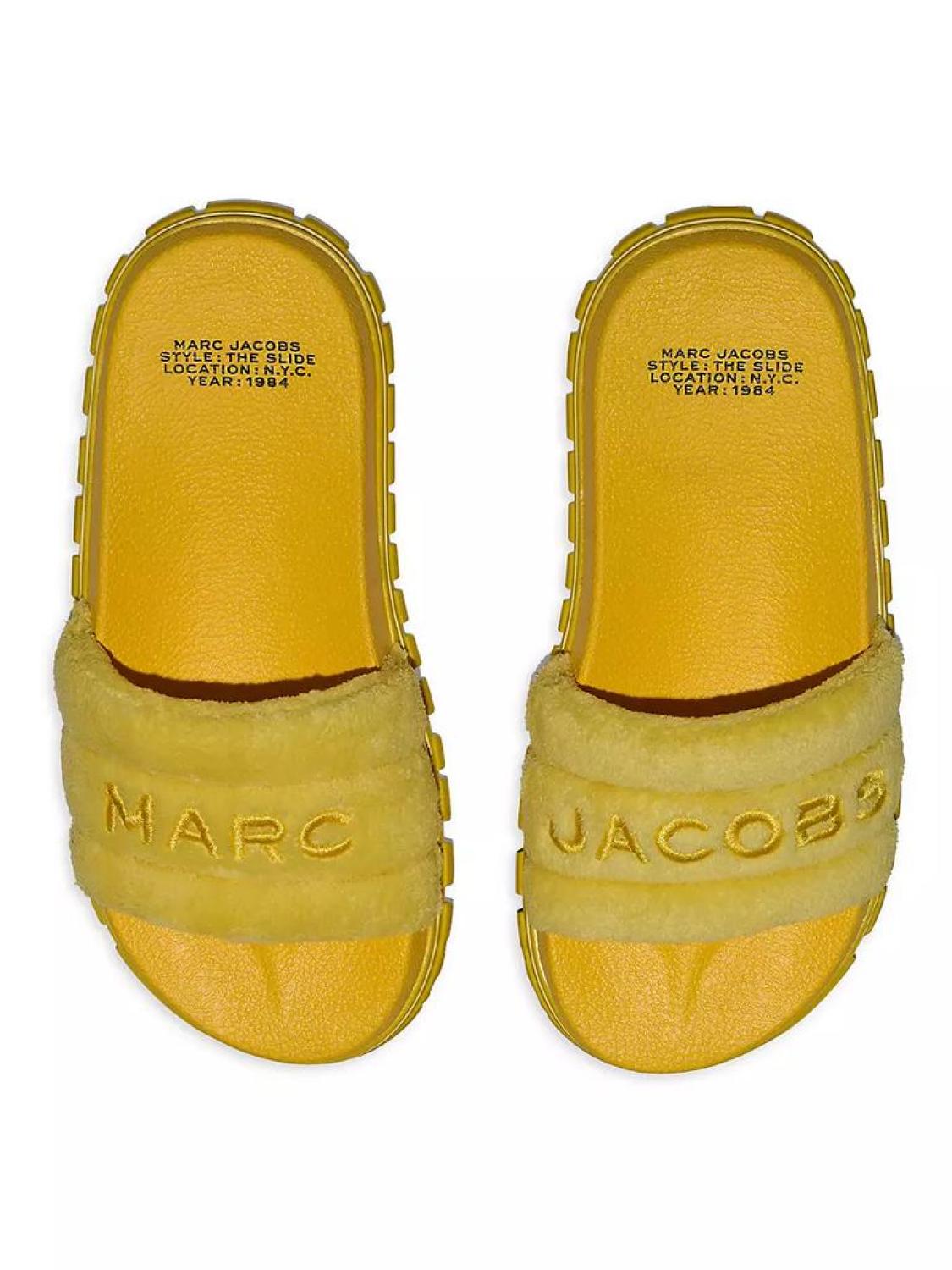 The Terry Logo Slides