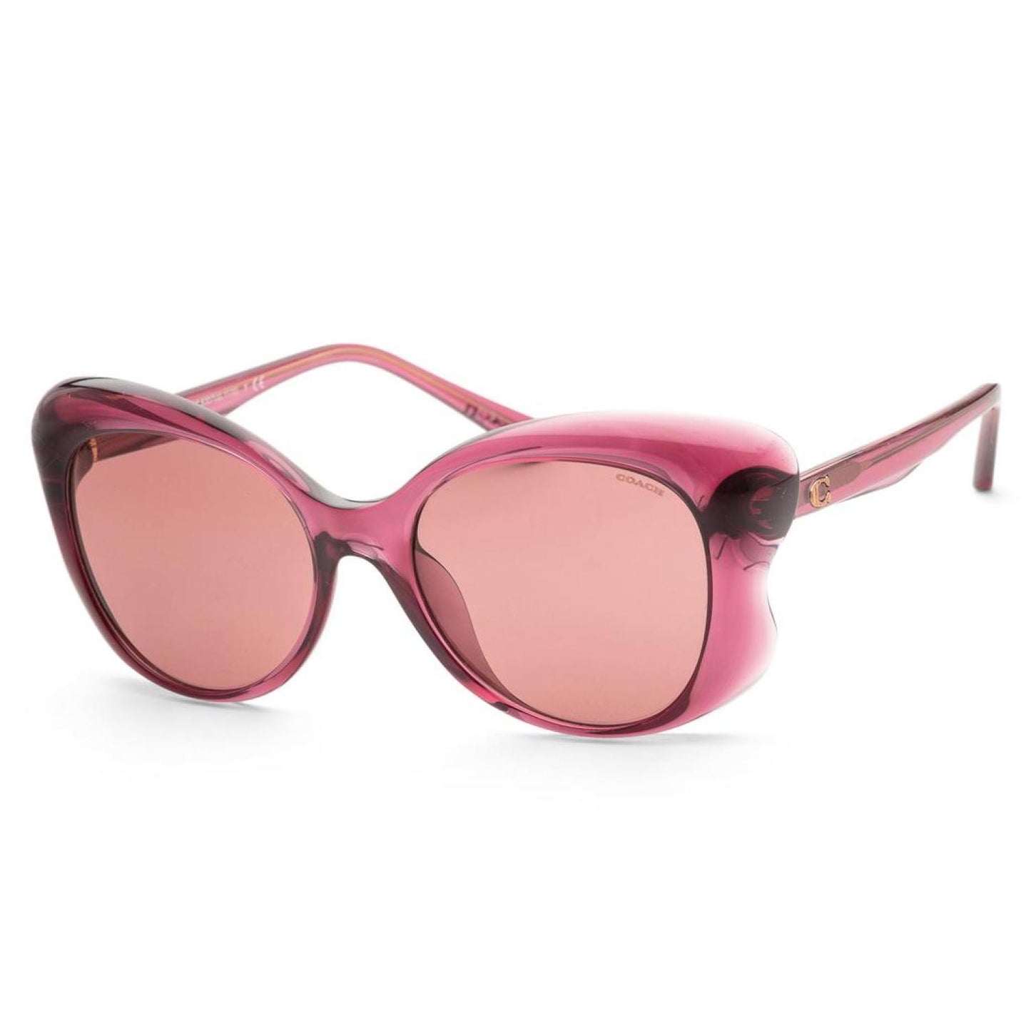 Coach Women's Fashion 55mm Sunglasses