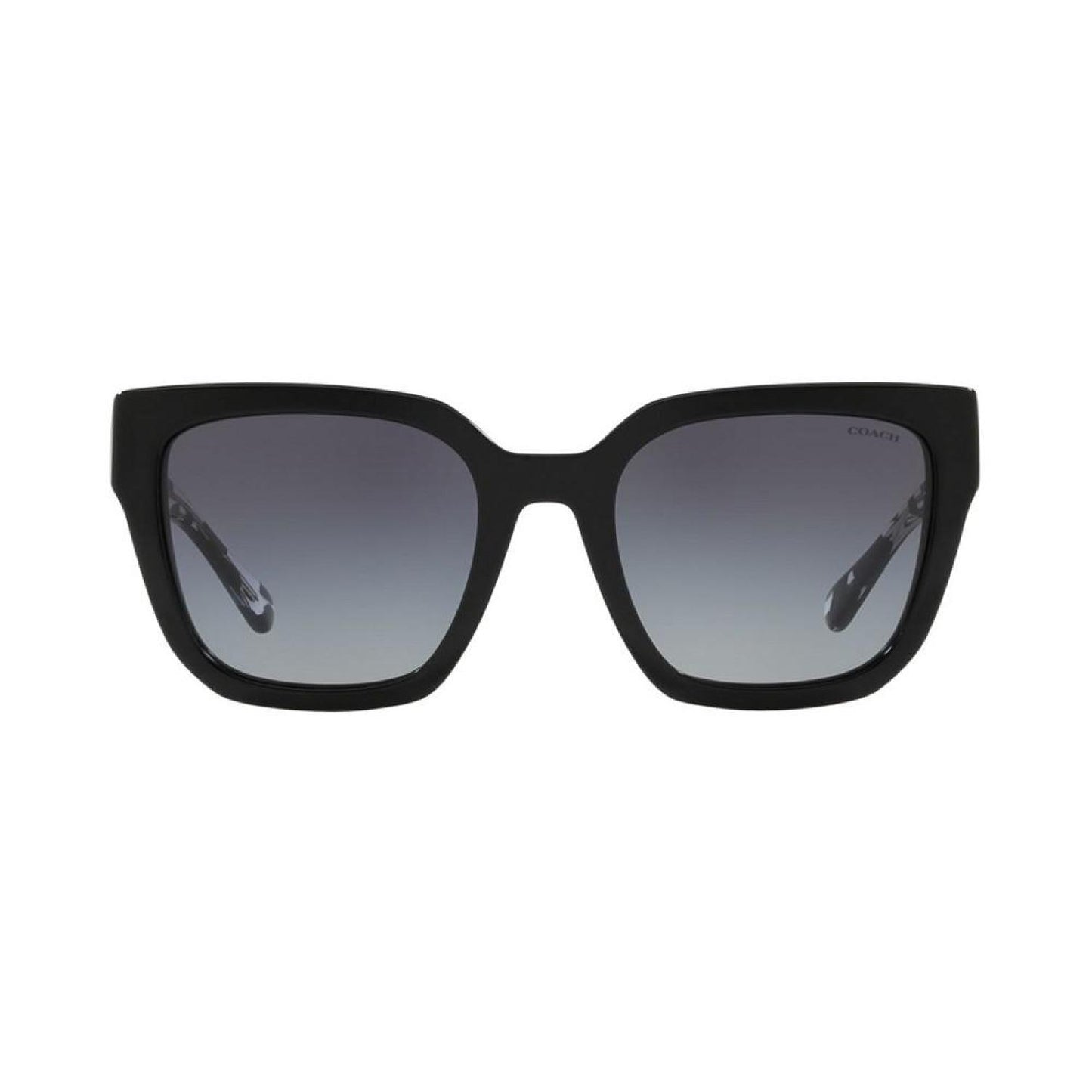 Sunglasses, HC8249 53 L1049