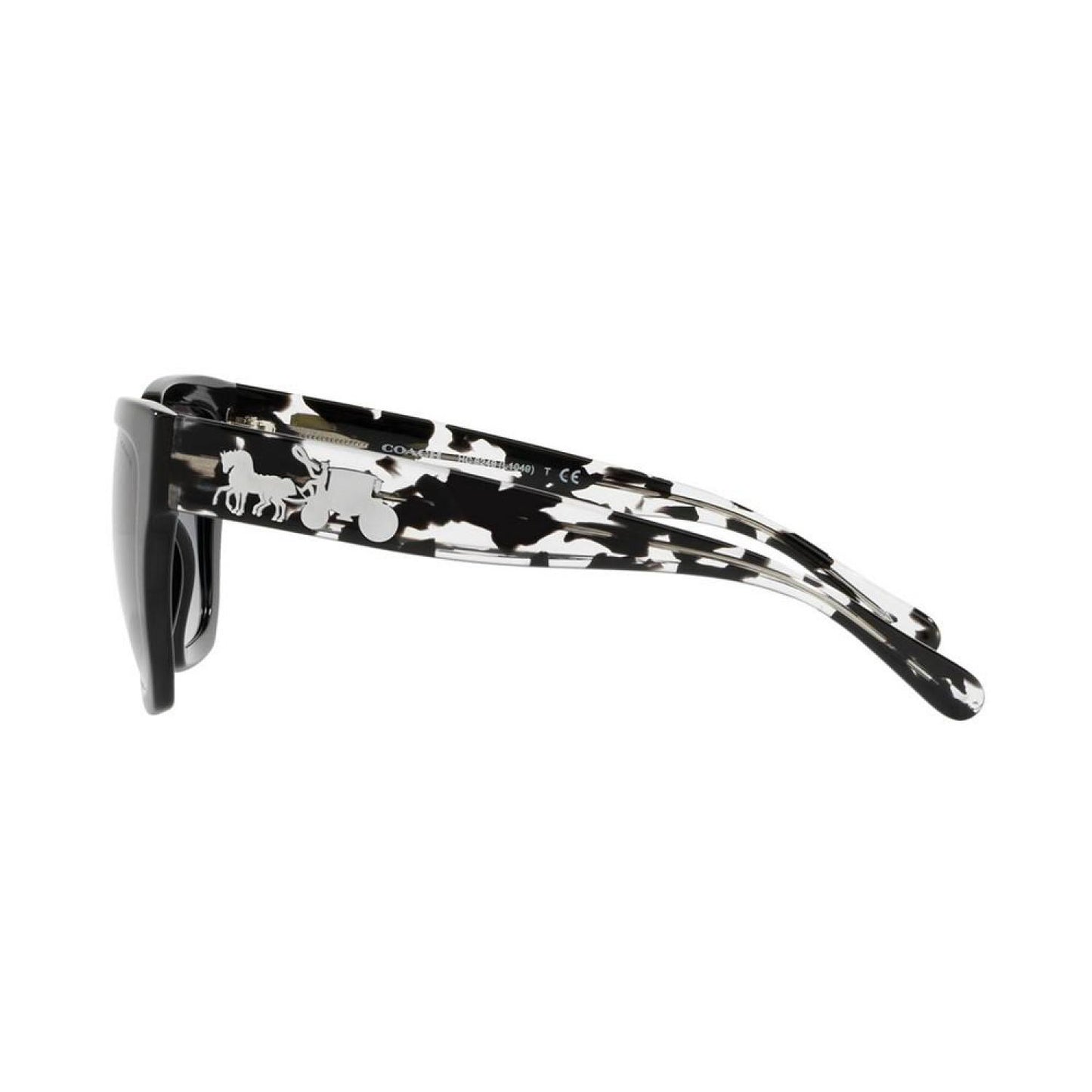 Sunglasses, HC8249 53 L1049