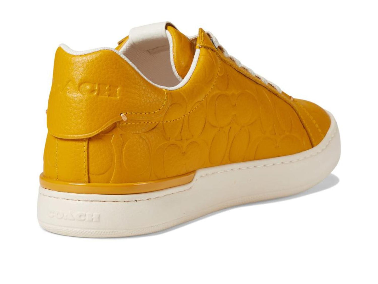 Lowline Signature Leather Low Top