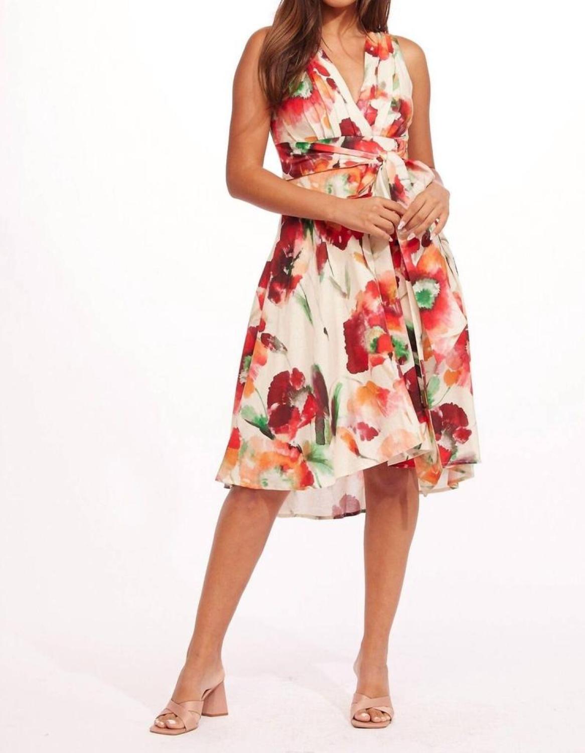 Masha Dress In Wild Poppies