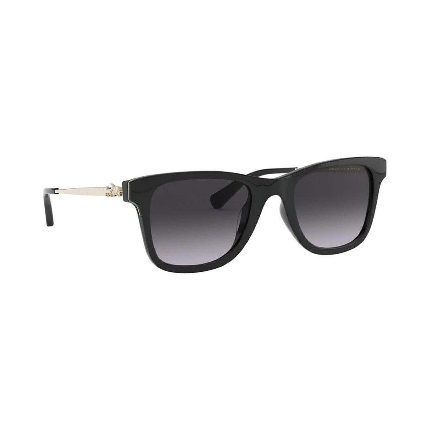 Women's Sunglasses, HC8279U