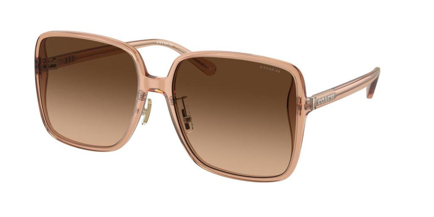 Coach Women's 61mm Transparent Brown Sunglasses