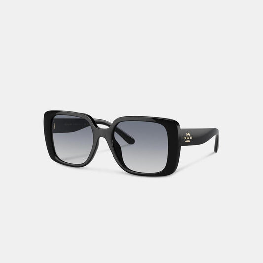 Coach Outlet Oversized Square Sunglasses