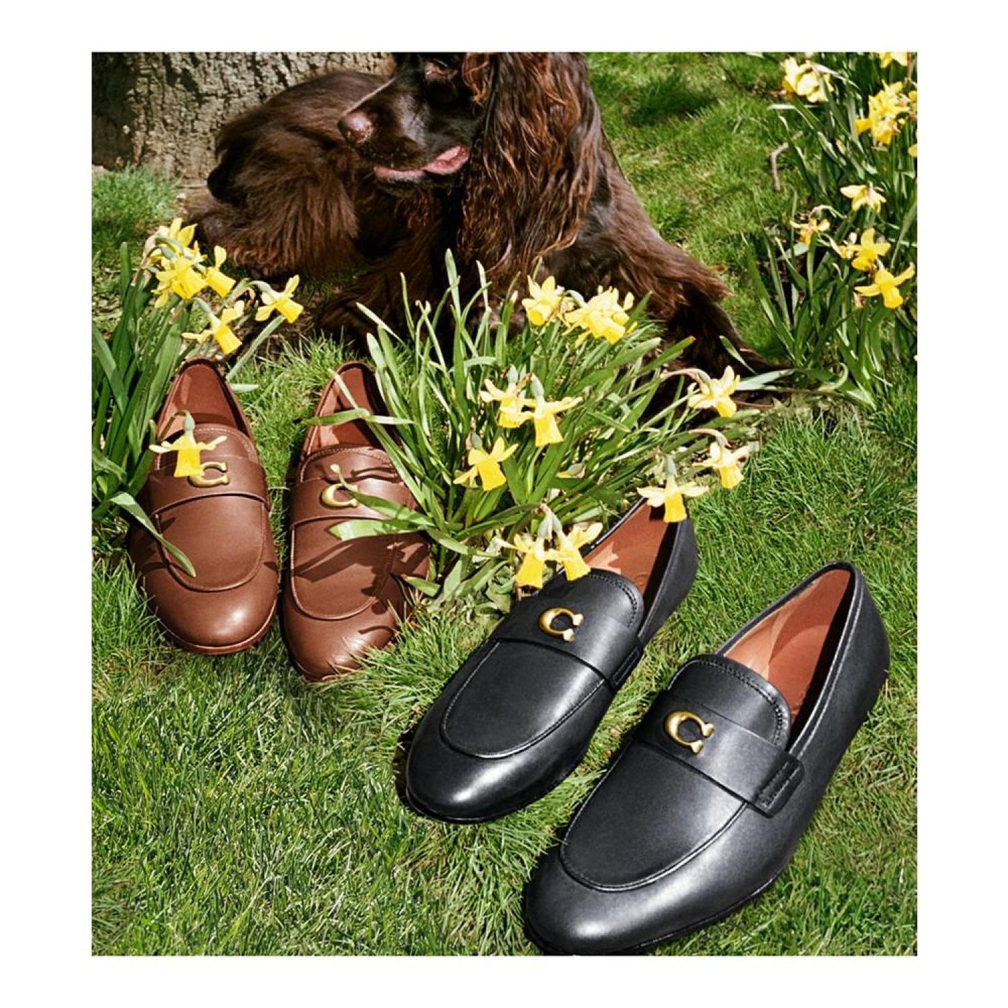 Men's Sculpt C Leather Slip-On Loafers