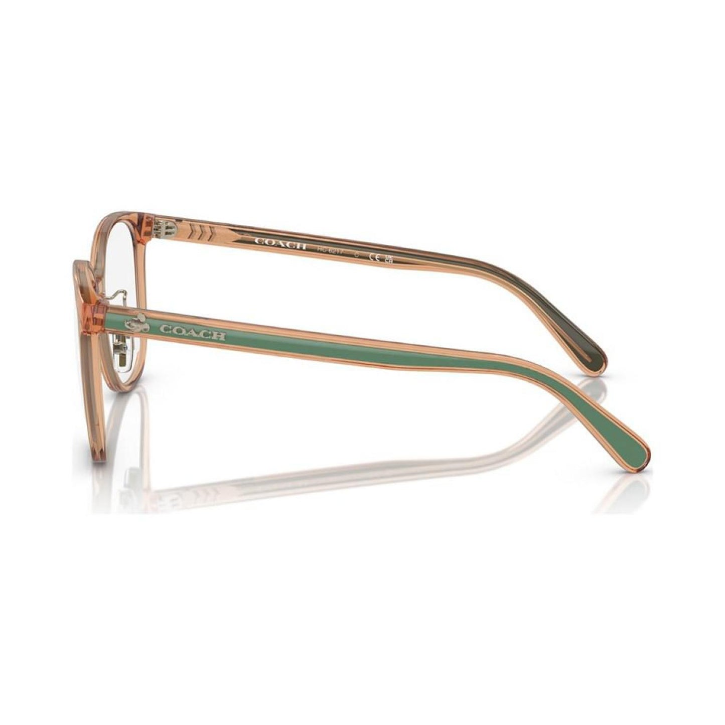 Women's Square Eyeglasses, HC6217 53