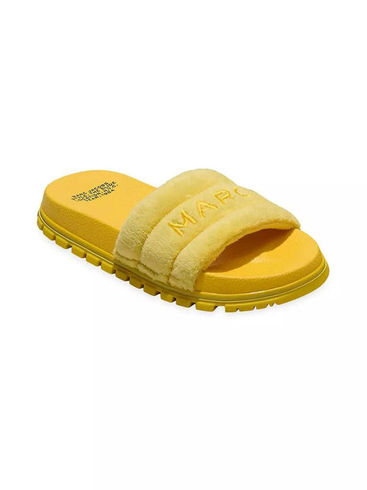 The Terry Logo Slides