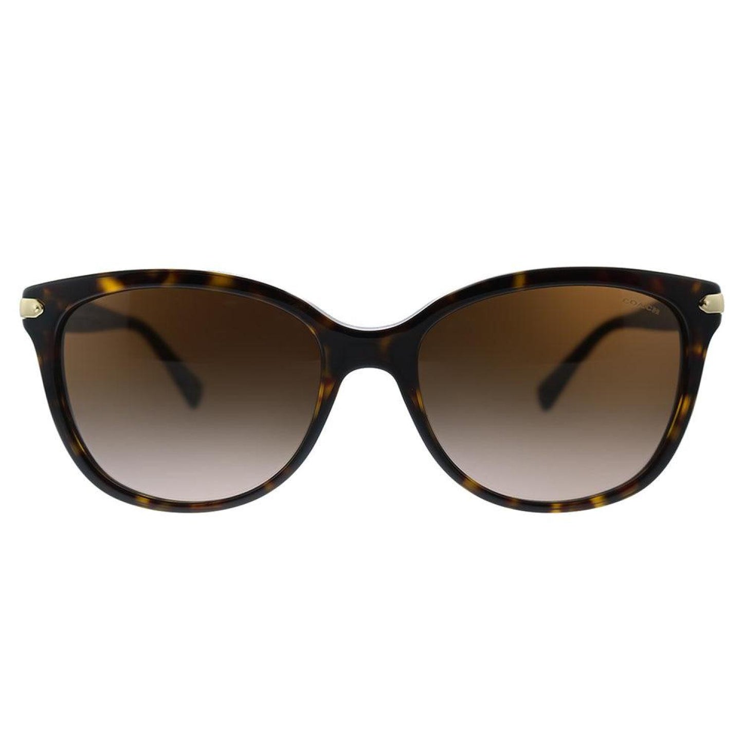 Coach L109 HC 8132 529113 Womens Cat-Eye Sunglasses