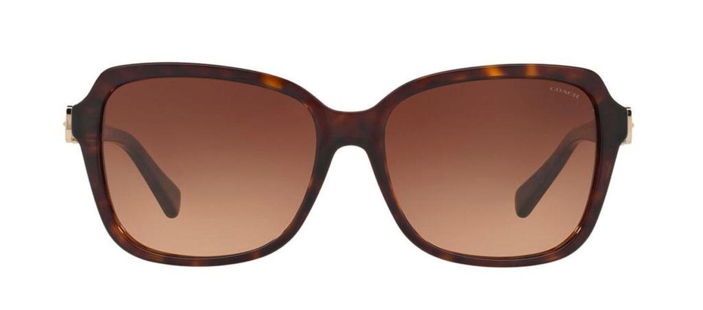 Coach 0HC8179 512013 Square Sunglasses