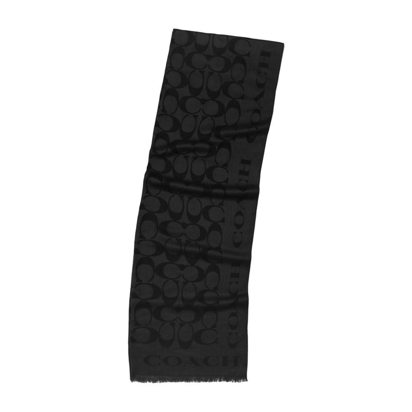 Women's Signature Border Scarf