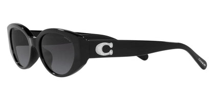 Coach 0HC8353U 50028G Oval Sunglasses