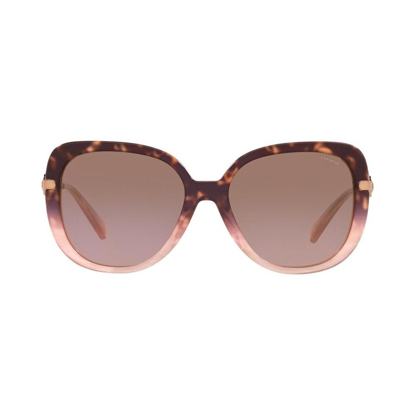 Women's Sunglasses, HC8320 55