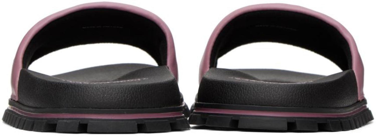 Purple 'The Slides' Slides