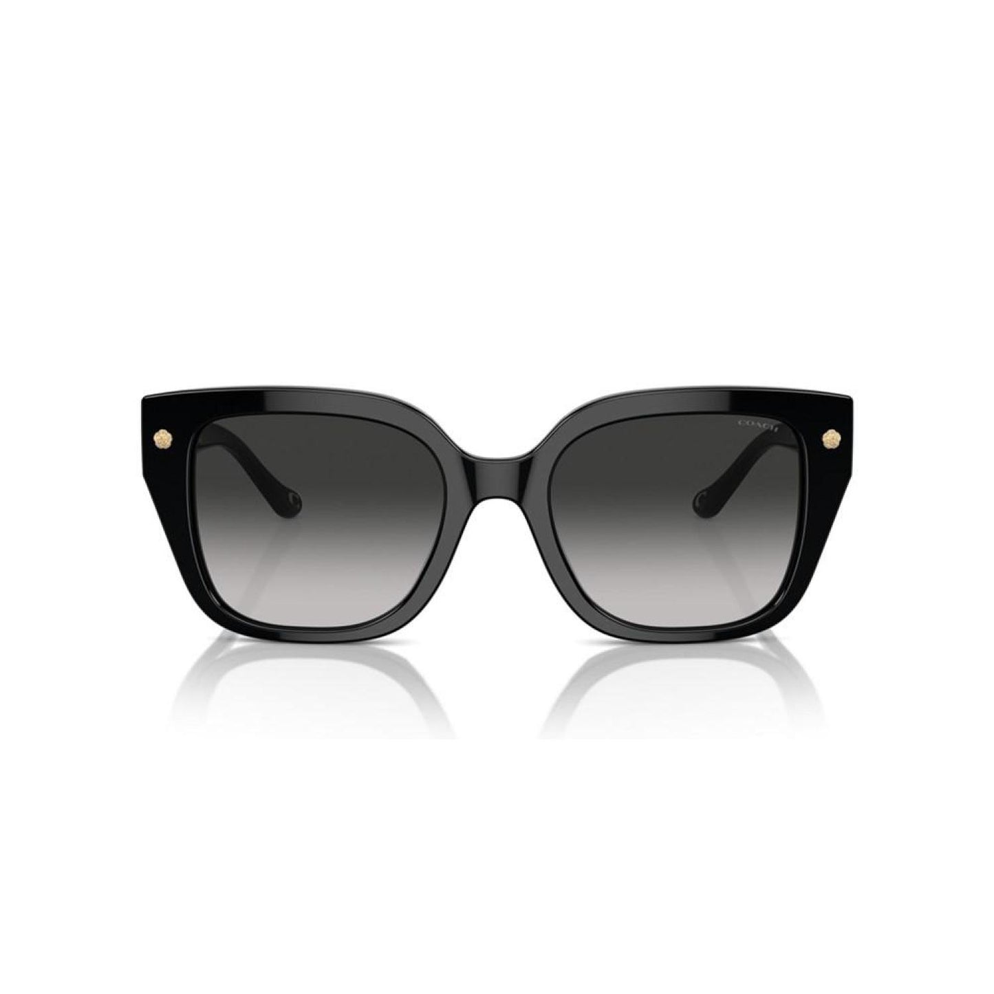 Women's Sunglasses, Cr611 Hc8392U