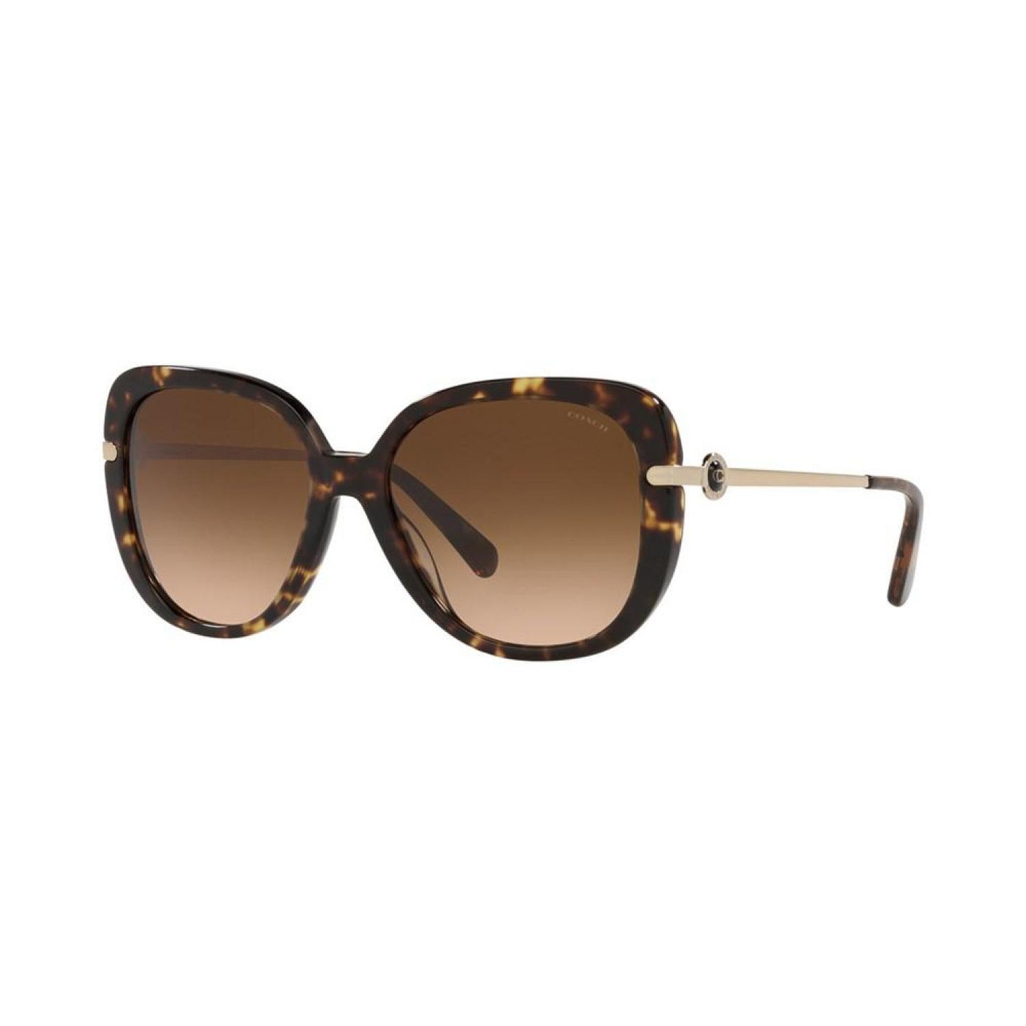 Women's Sunglasses, HC8320 55