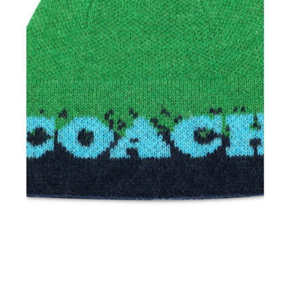 Women's Colorblocked Ombré Pom Pom Beanie