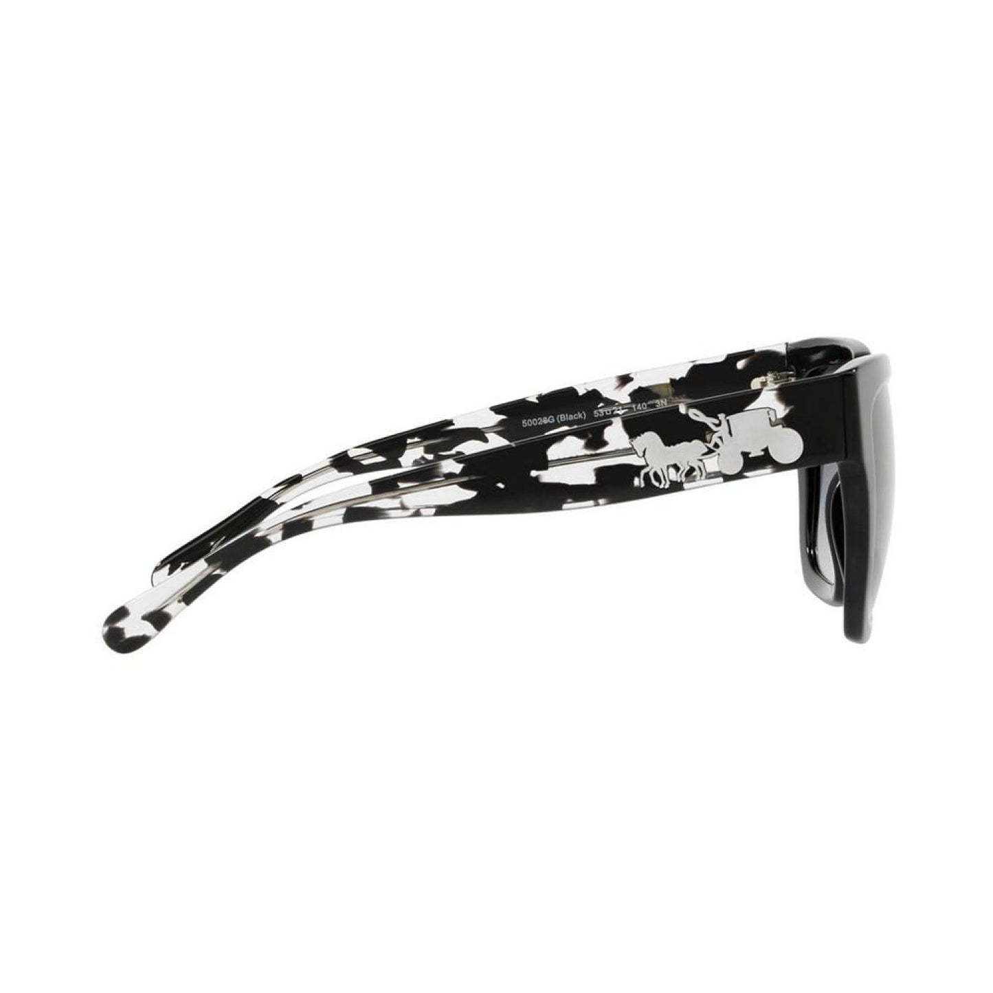 Sunglasses, HC8249 53 L1049