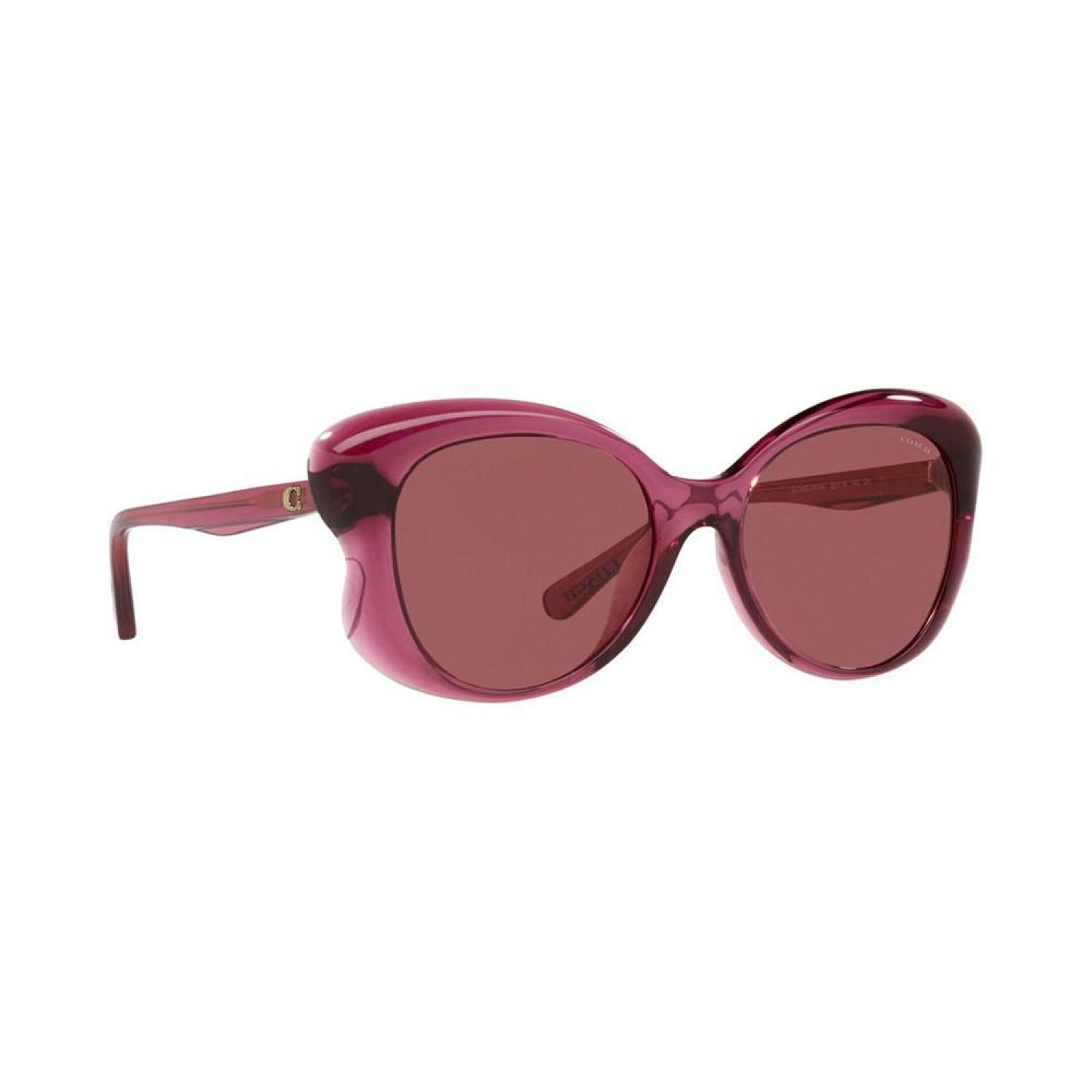 Women's Sunglasses, HC8307U 55 L1170