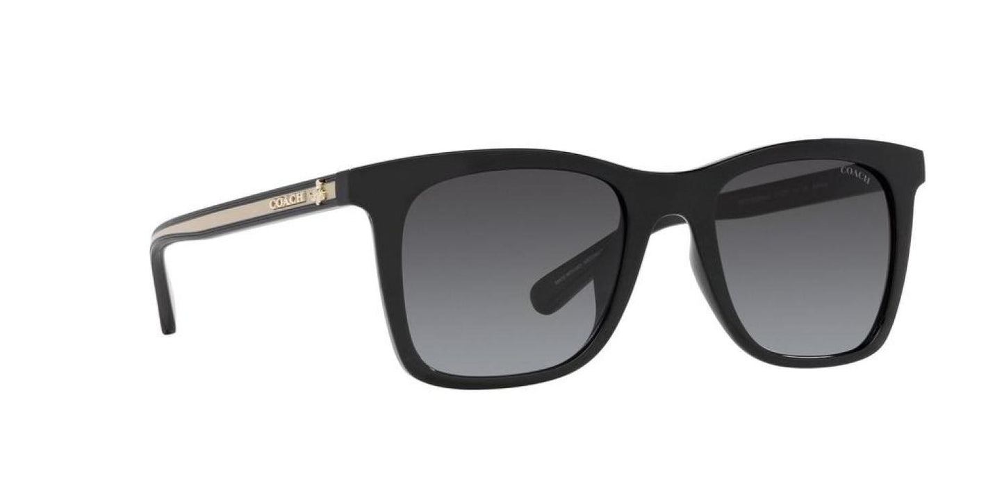 Coach Women's 51mm Sunglasses