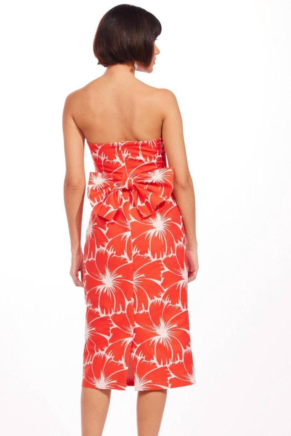 Vendome Dress In Scarlet Bloom