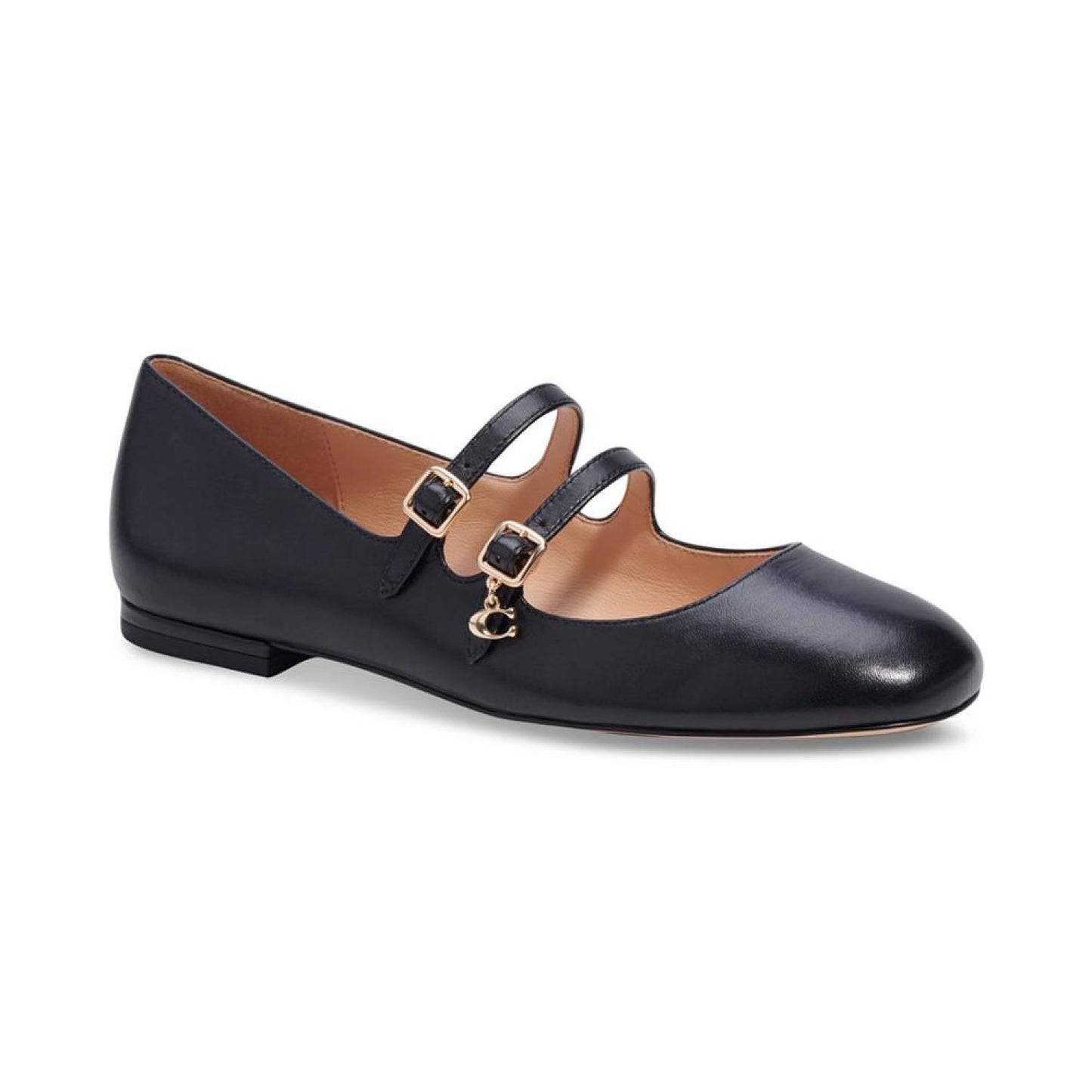 Whitley Mary Jane Ballet Flats