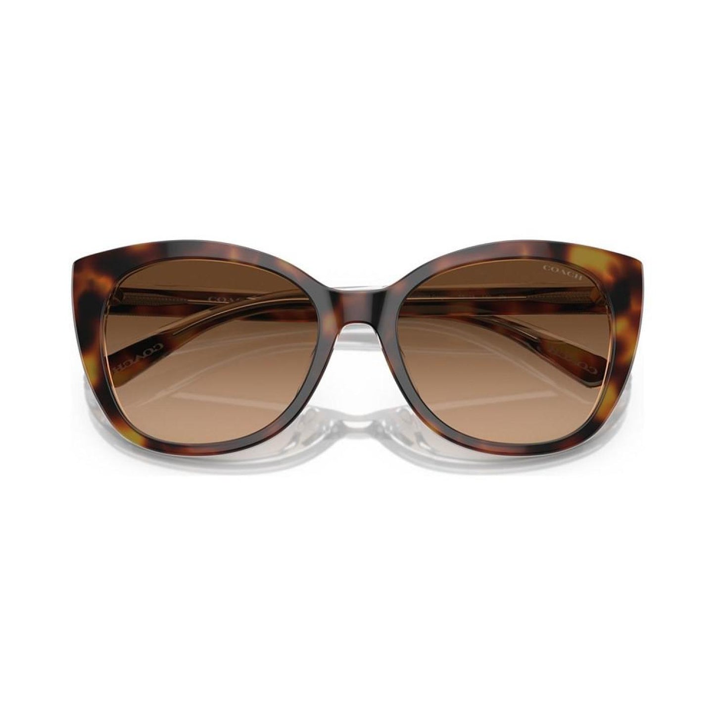 Women's Sunglasses, HC8365U55-Y 55