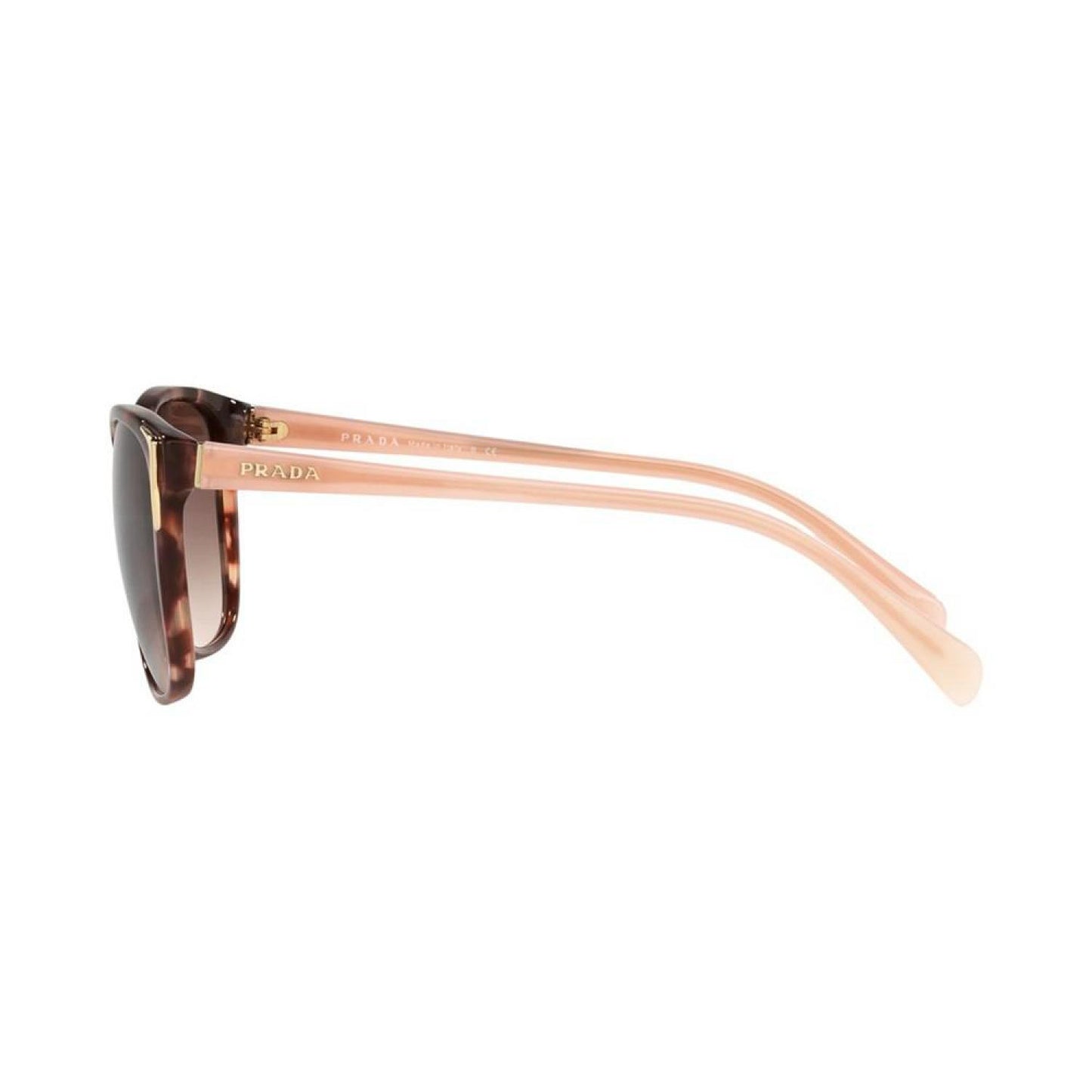 Women's Sunglasses, Conceptual