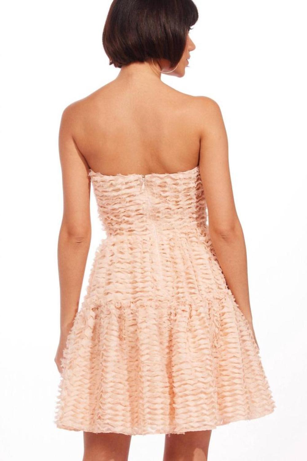 Cossette Dress In Peach Souffle