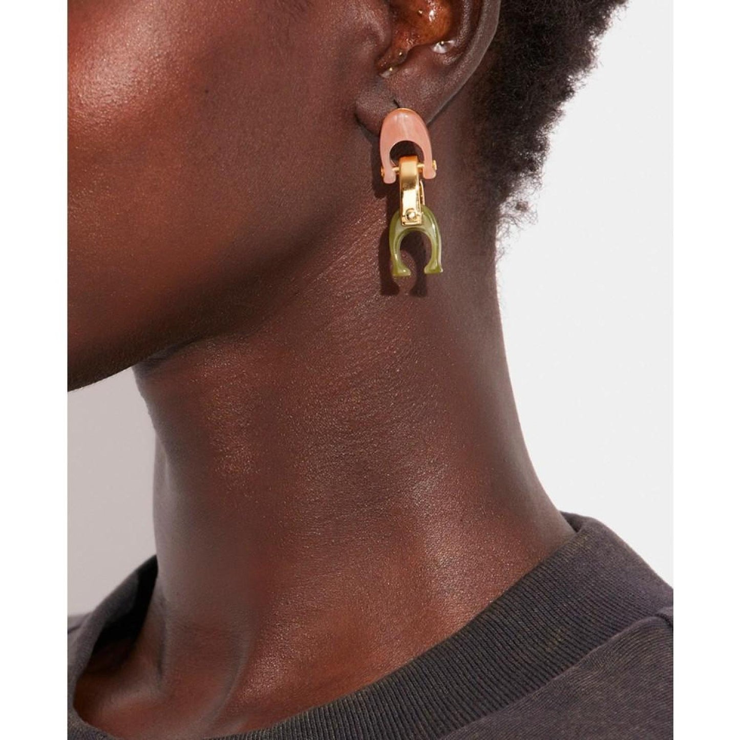 Two-Tone Signature Resin Link Earrings