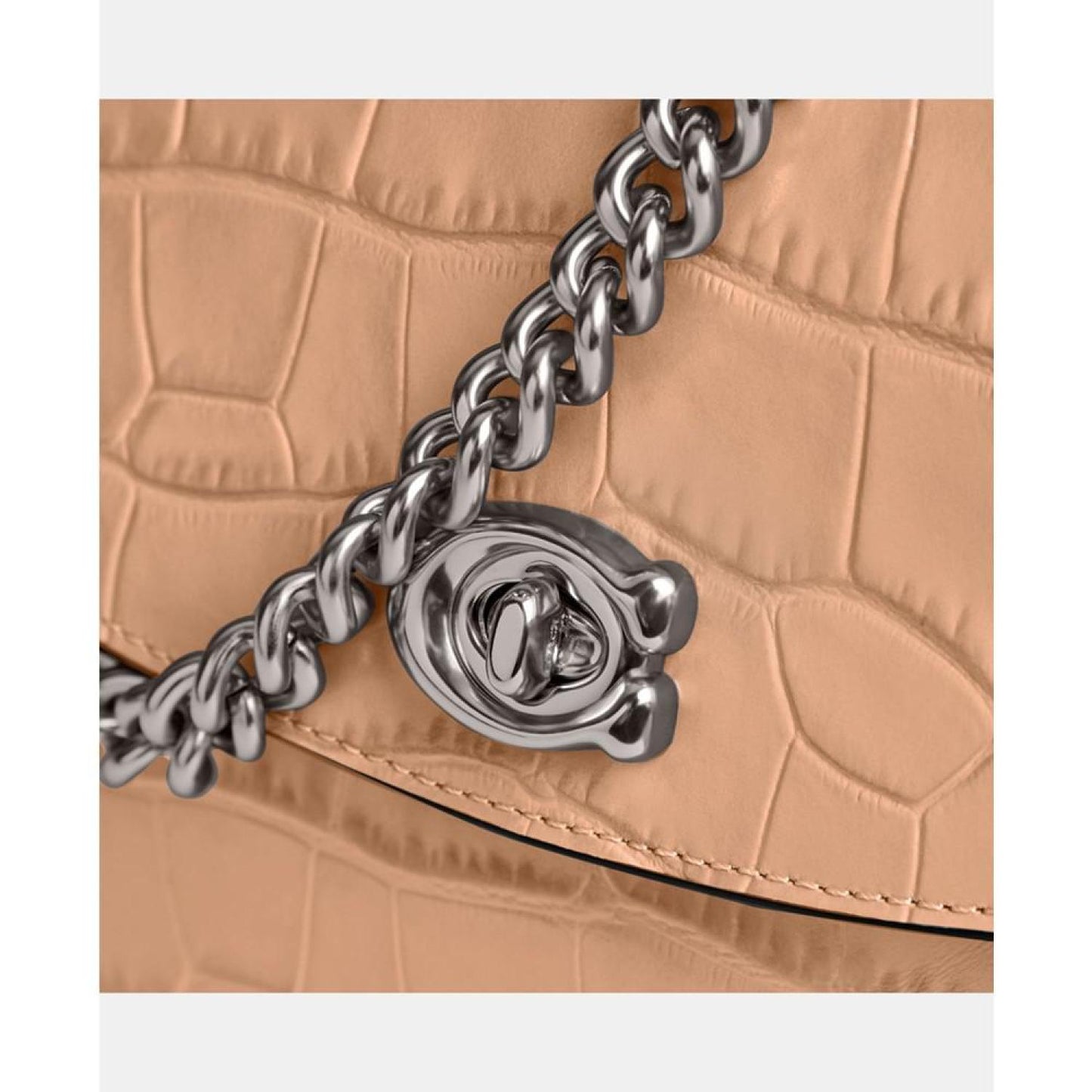 Embossed Croc Leather Cassie Crossbody 19