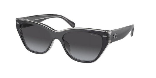 Coach Women's 56mm Black/Transparent Grey Sunglasses