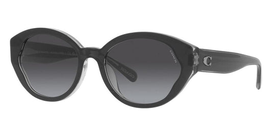 Coach Women's 55mm Black/Transparent Grey Sunglasses