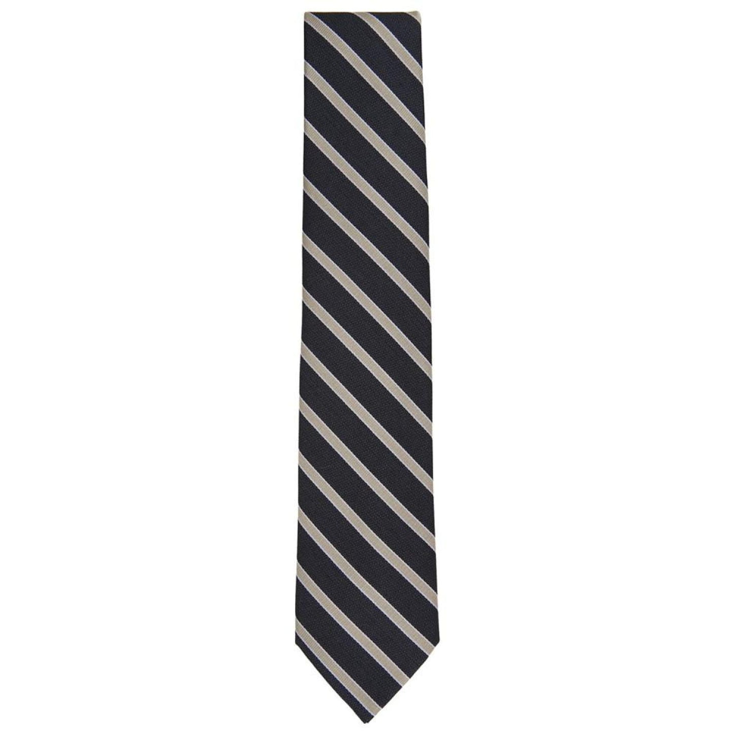 Men's Neptune Stripe Tie