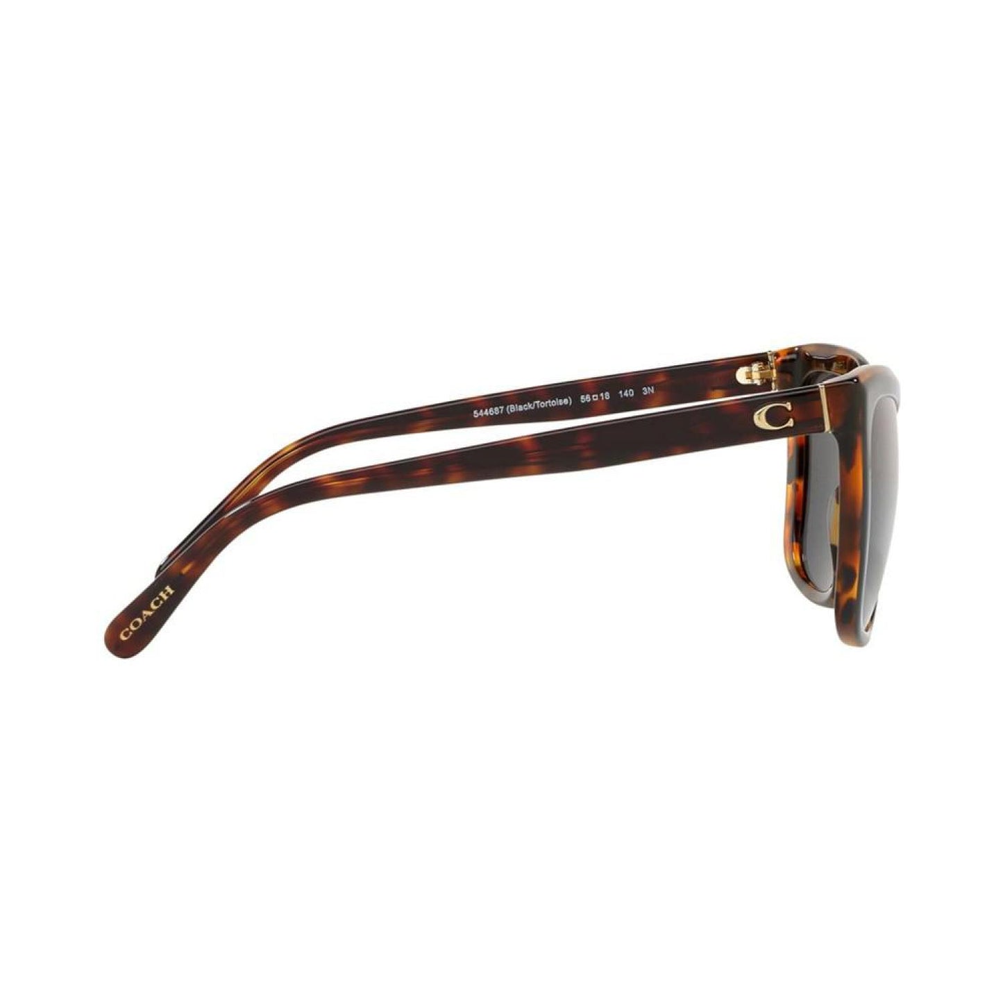 Sunglasses, HC8261 56 L1059