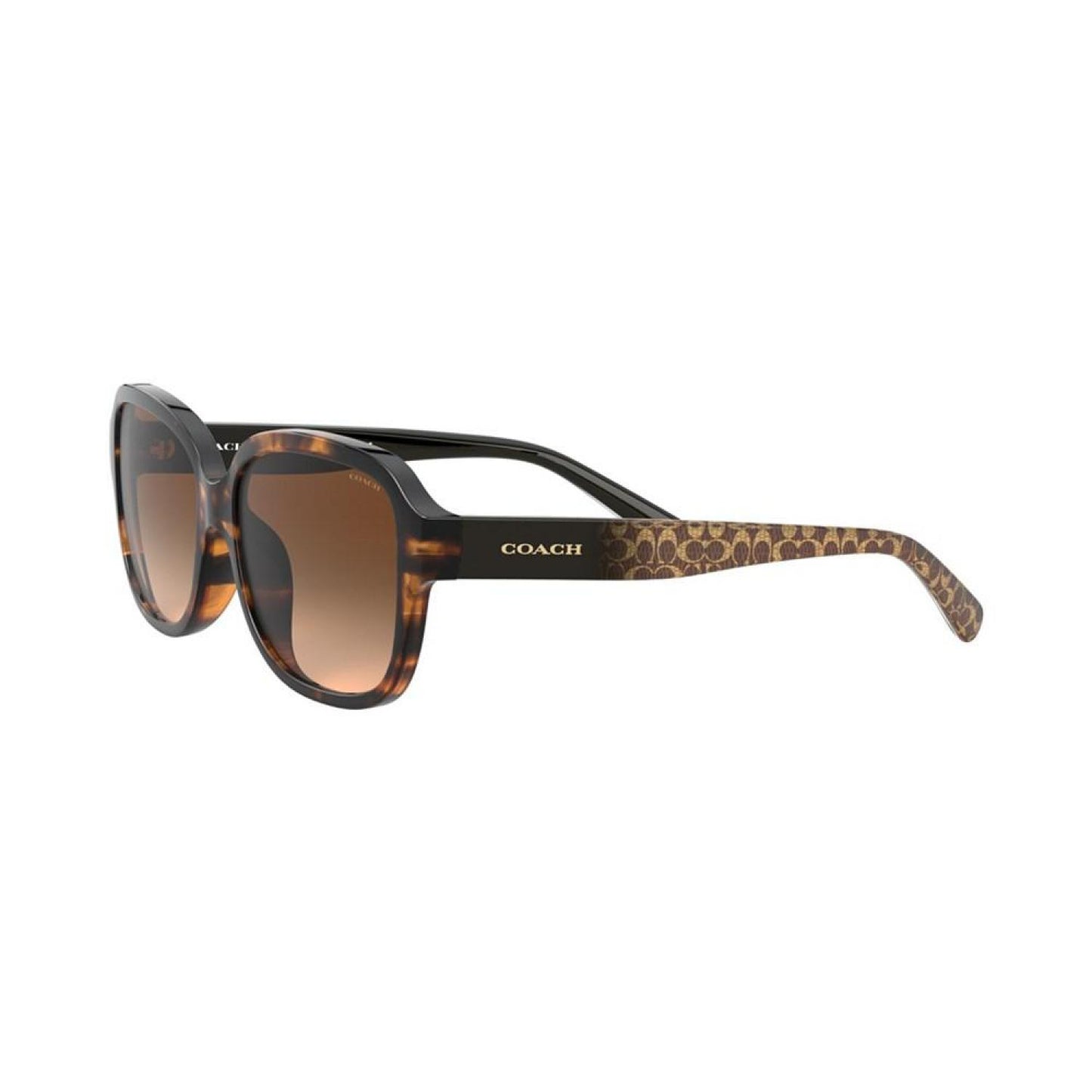 Women's L1153 57 Sunglasses, HC8298U57-X