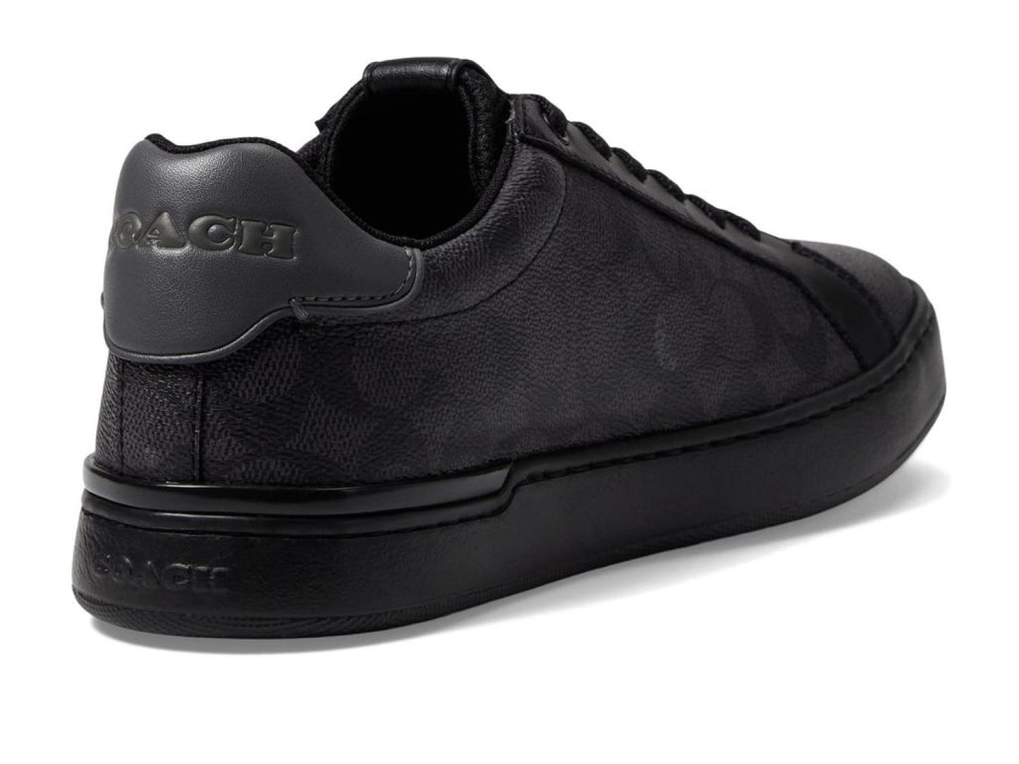 Lowline Signature Low Top