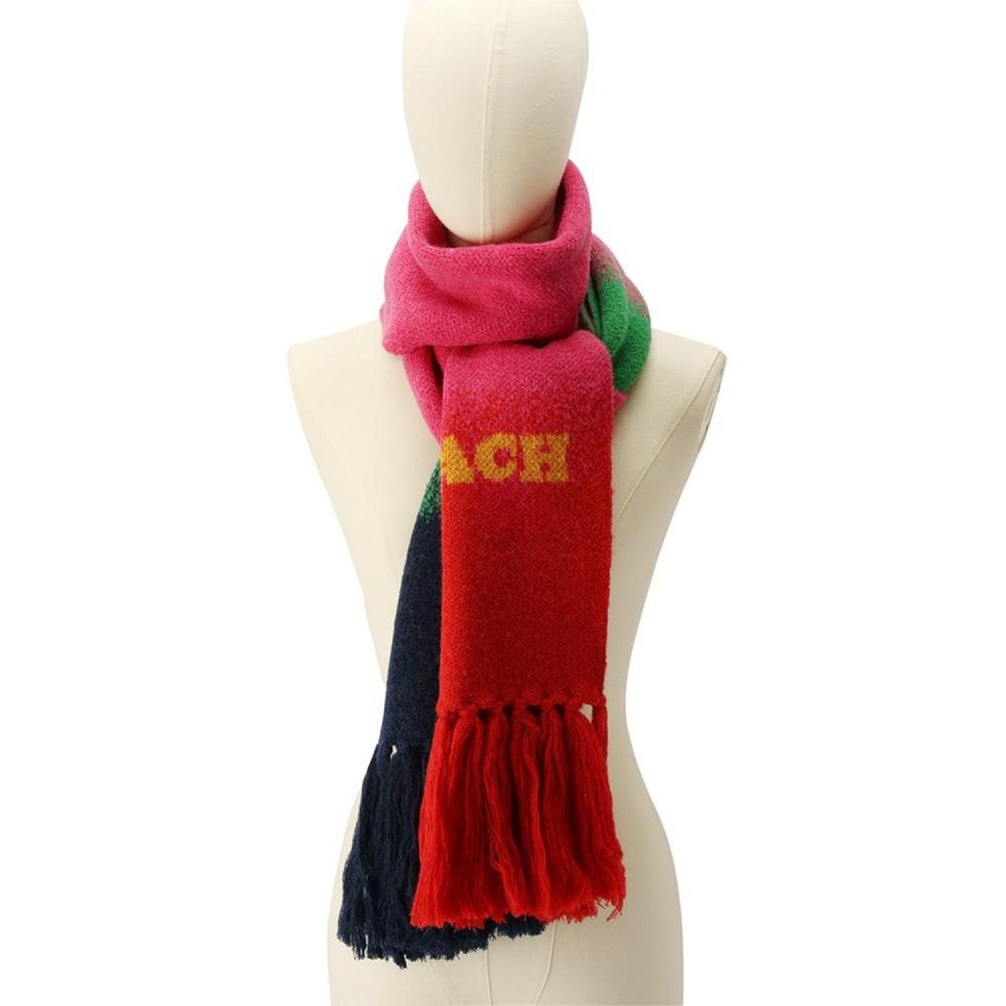 Women's Colorblocked Ombré Knit Scarf