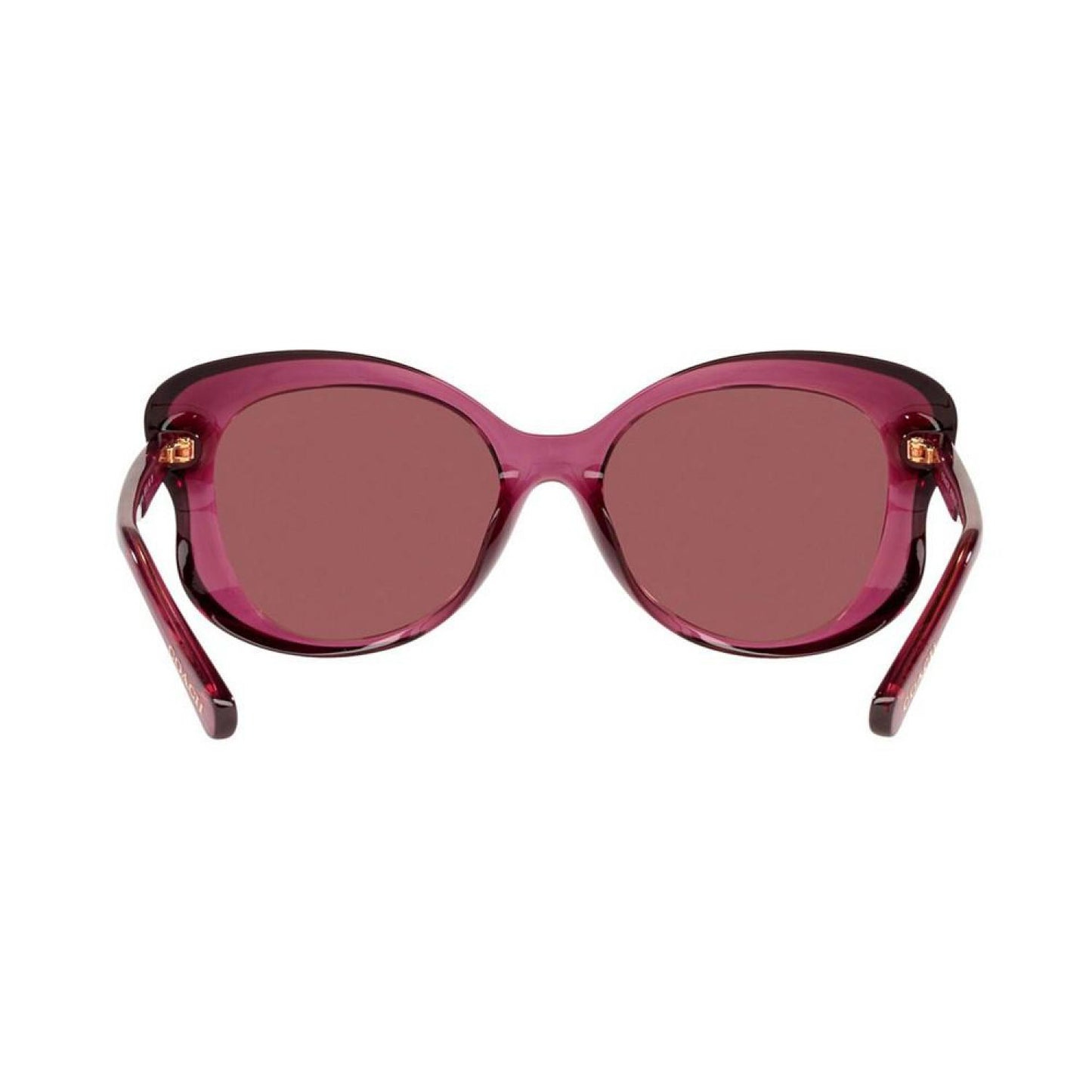 Women's Sunglasses, HC8307U 55 L1170