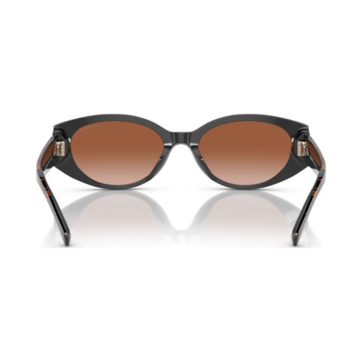 Women's Sunglasses, HC8353U