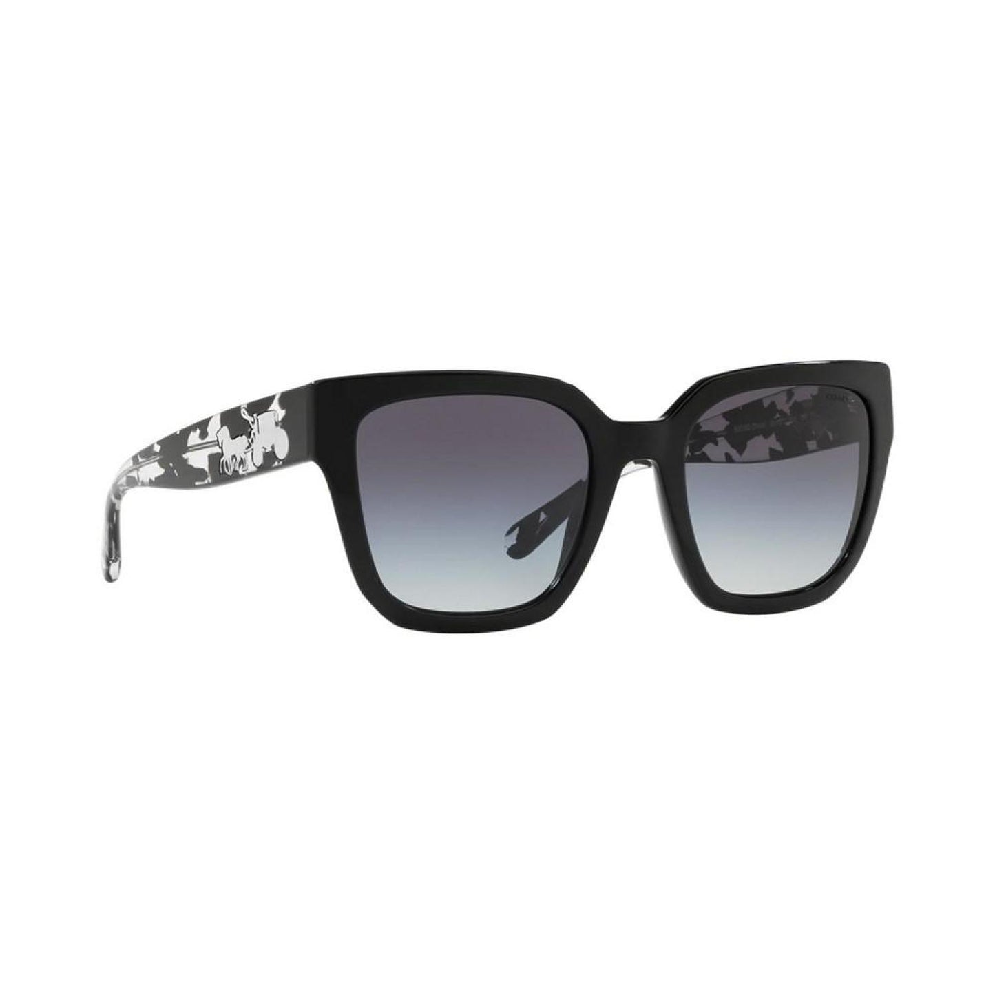 Sunglasses, HC8249 53 L1049