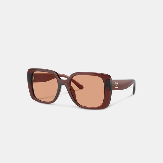 Coach Outlet Oversized Square Sunglasses