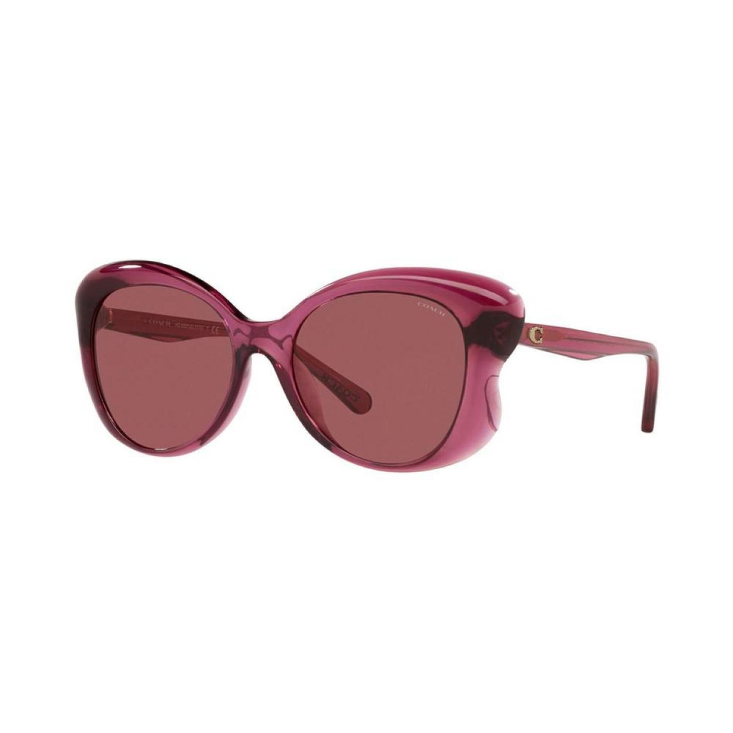 Women's Sunglasses, HC8307U 55 L1170