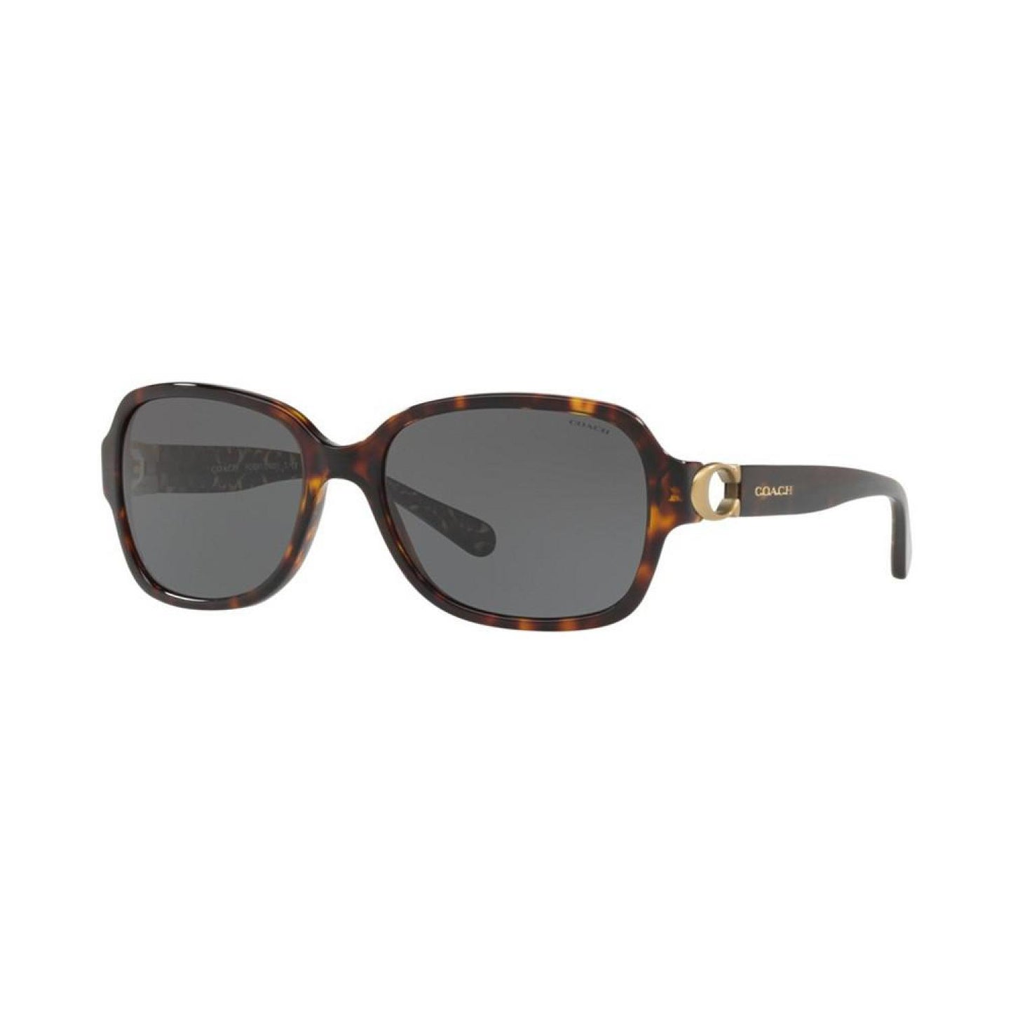 Women's Sunglasses, HC8241 L1031 57