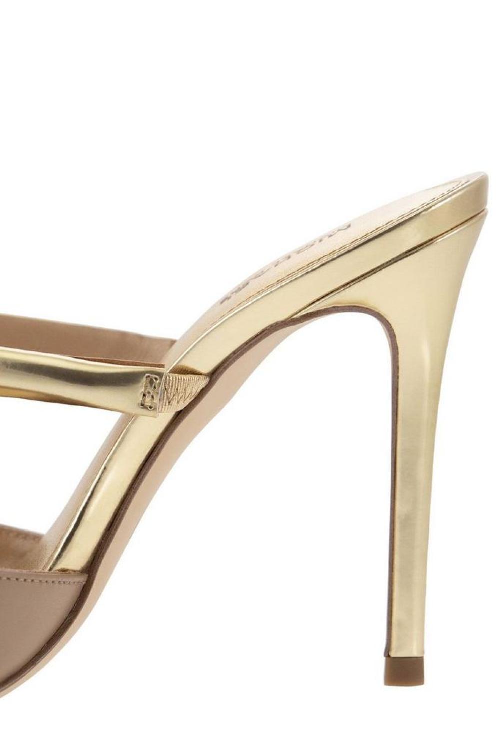 Michael Kors Jessa Pointed Toe Pumps