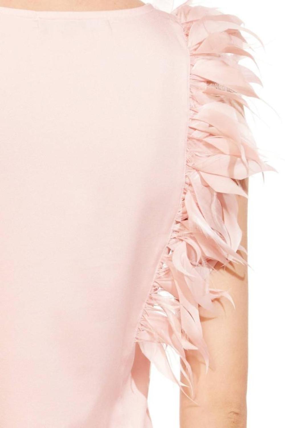 Feather Top In Pink