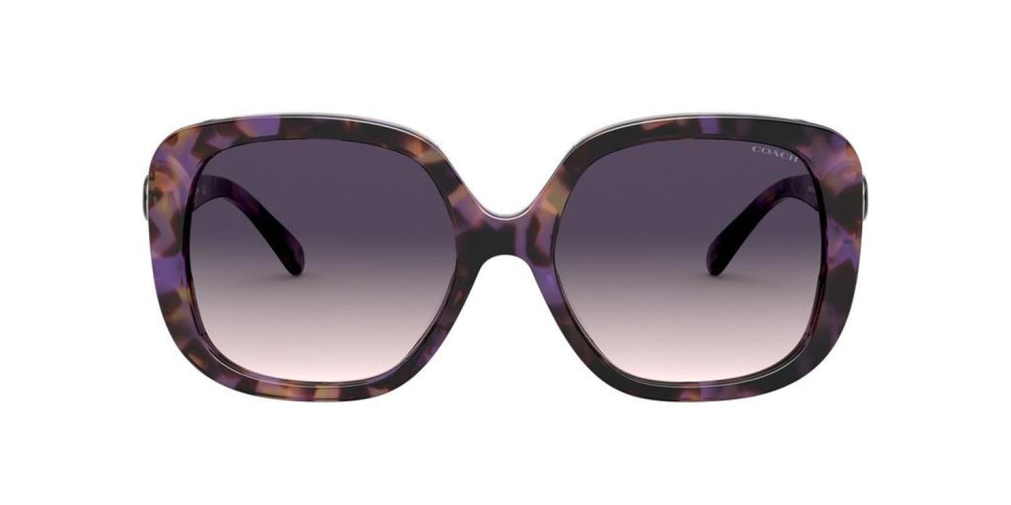 Coach 0HC8292 561236 Oversized Square Sunglasses